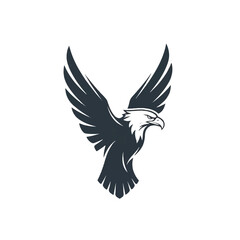 Fototapeta premium Black and white eagle in flight.