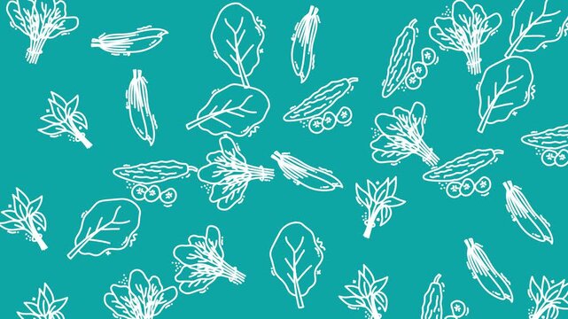 Teal Background White Leaf Pattern Animation Frames.