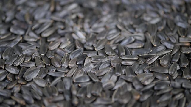 Closeup of roasted seeds. Detailed shot highlighting seed shells and edible kernels. Highquality photograph capturing texture of sunflower seeds and shells for packaging