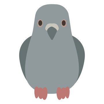 Minimalist illustration of a grey pigeon. Bird icon representing the pigeon chronotype. Simple avian graphic design for circadian rhythm and sleep schedule classification concepts