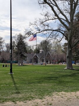 flags in the park