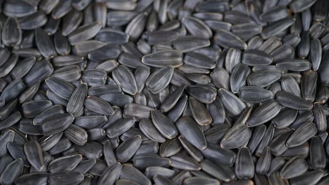 Closeup of roasted sunflower shells. Detailed image of textured sunflower seed shells. Vivid closeup capturing layered shells and tactile crunch of roasted sunflower seeds