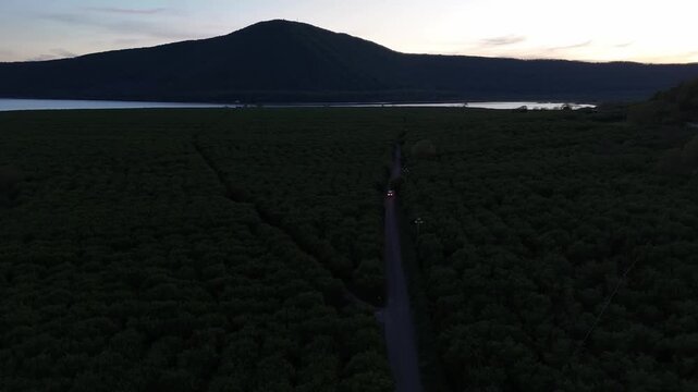 Sunset tranquility over lush vineyards near a serene lake surrounded by majestic mountains