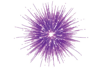 Obraz premium Vibrant purple firework burst a spectacular display of light and color in a dark sky