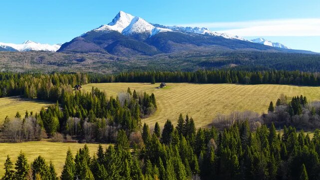 Cinematic drone reveal rising from meadow and forest to iconic Kriv&aacute;ň peak in High Tatras, Slovakia. Scenic transition shot with snow covered mountain and clear blue sky, perfect for travel and nature