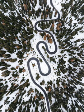 Aerial view of the winding Strada a serpente Passo Giau road snaking through a dense pine forest covered in fresh white snow in Cortina d'Ampezzo, Veneto, Italy.