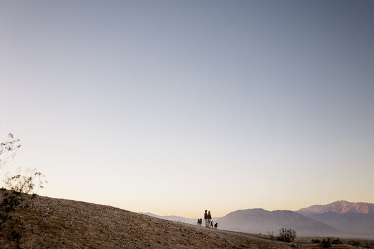 Husband, Wife & Dogs at Font's Point at Dusk in CA