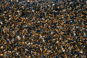 Fototapeta premium Wet colorful pebble stones on beach, macro texture background