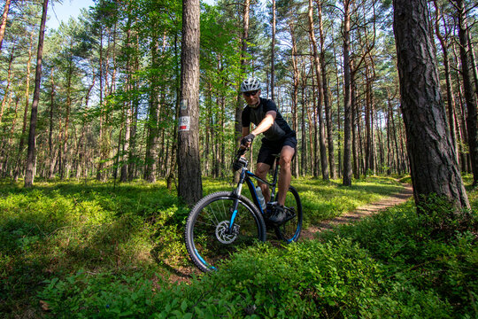 Leśny szlak rowerowy.