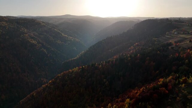 Aerial drone flying towards sun over autumn forest Mărișel