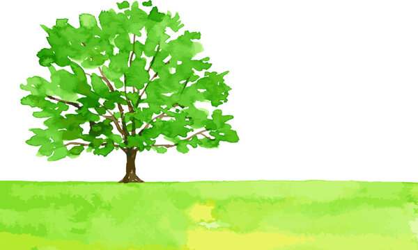 大きな木と緑地の風景　草原　白背景　コピースペース