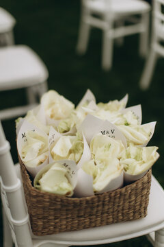 Wedding confetti cones filled with white rose petals