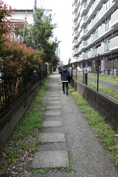 とある風景
