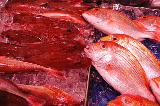 魚屋の店頭、鮮魚、鯛