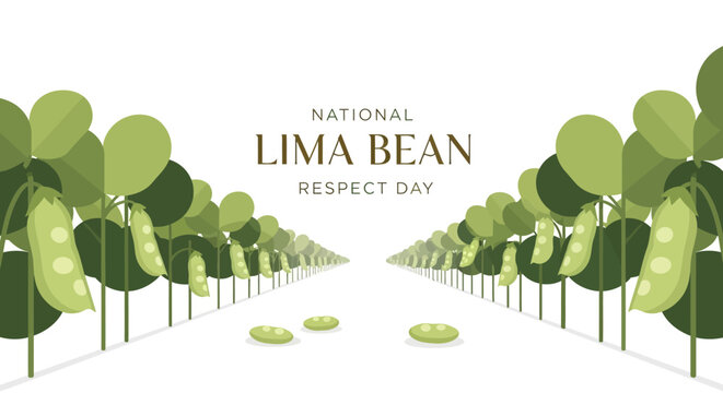 Vector illustration celebrating National Lima Bean Respect Day, showcasing rows of lima bean plants with plump green pods against a clean white background, conveying a fresh and healthy