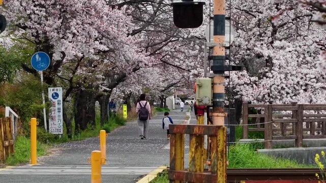 日本的风景」の写真素材 | 28,059件の無料イラスト画像 | Adobe Stock