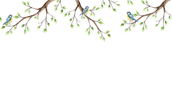 Spring branch with leaves and blue tit perche seamless border, banner. Watercolor titmouse, easter hand drawn illustration isolated on background, transparent png. Botanical and wedding clip art. For