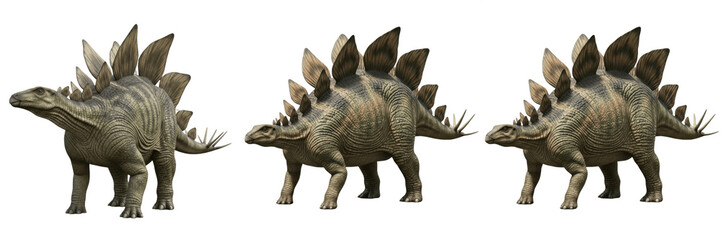 Fototapeta premium Realistic Stegosaurus Dinosaur Figure PNG - Prehistoric Jurassic Animal Isolated on Transparent Background for Education and Toy Design