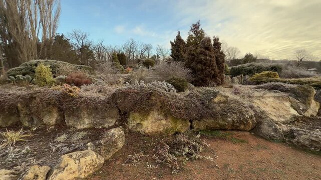 Hoarfrost coats delicate plants and rugged rocks in this beautiful winter garden. The scene feels crisp and magical as morning light hits the landscape. It is a quiet moment in nature.
