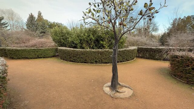 A beautifully detailed metal tree stands at a quiet junction in the garden. Frosted hedges and sandy paths create a peaceful, wintry atmosphere that feels like a hidden fairy-tale world.