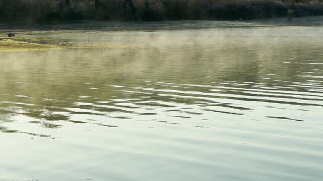 Soft fog drifts slowly over the rippling water as the sun begins to rise. This quiet scene feels mysterious and deeply peaceful. The cool air and gentle waves create a calm, serene mood.