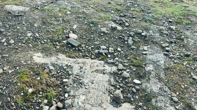 Small stones and large rocks rest on the dry, uneven earth. This simple outdoor detail feels sturdy and grounded, capturing a sense of raw nature. Green grass grows through the gray dirt.
