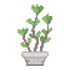 Fototapeta premium Pixel Art Tropical Plant