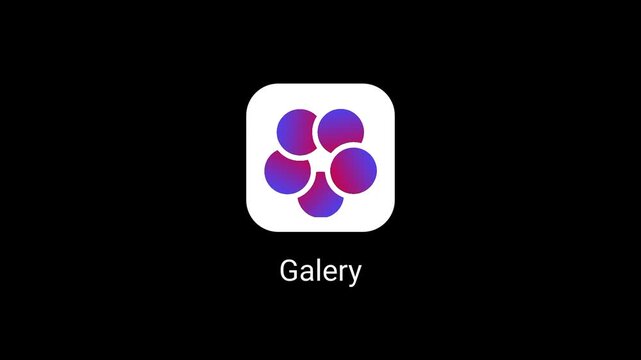A dark background app icon featuring a colorful floral pinwheel symbol in purple pink and white labeled Gallery for a photo collection application