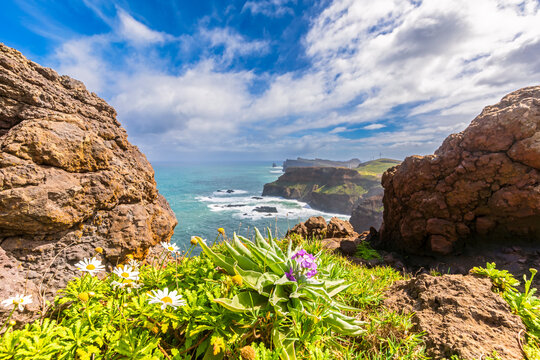 Colorful rock formations and wildflowers at Ponta de S�o Louren�o Madeira