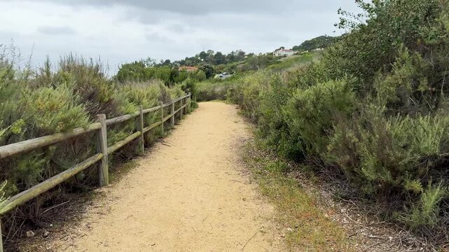Unpaved trail winding through dense green and yellow scrub brush with split rail wooden fence along left side. Path leads into distance towards homes nestled on distant hill. Calm atmosphere of wilder