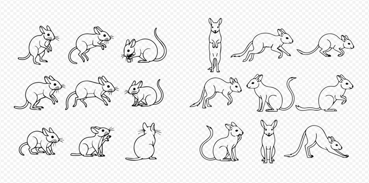 Set of cute mouse and jerboa line art illustrations in various poses.