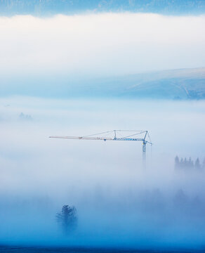 Crane and trees in morning fog near Mondsee in Upper Austria