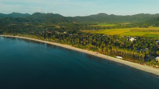 4K Drone shot at sandy beach with palm trees island 