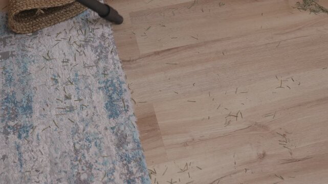 Vacuum cleaning pine needles from carpet after Christmas tree.Post-holiday cleaning, home maintenance, mess removal and everyday domestic routine. Real life cleaning situation, seasonal transition