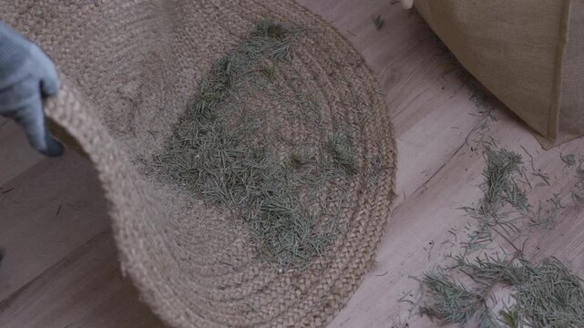 Hands picking up pine needles from carpet, holiday mess cleaning.Hands picking up dry pine needles from carpet after Christmas tree. Post-holiday cleanup, home cleaning routine, mess removal.