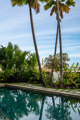 Infinity swimming pool creating a relaxing atmosphere surrounded by lush green tropical plants and reflection of tall palm trees under a bright blue sky - stock photo © Amaiquez