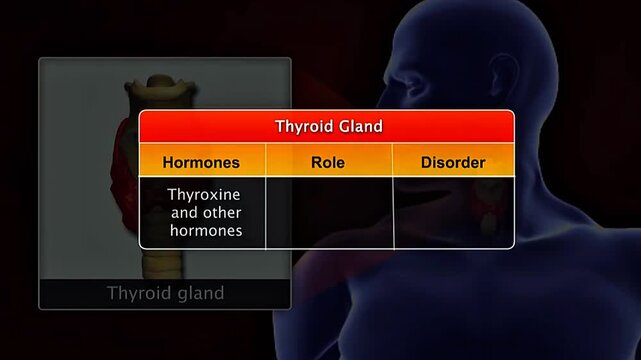 Thyroid gland hormones roles and disorder