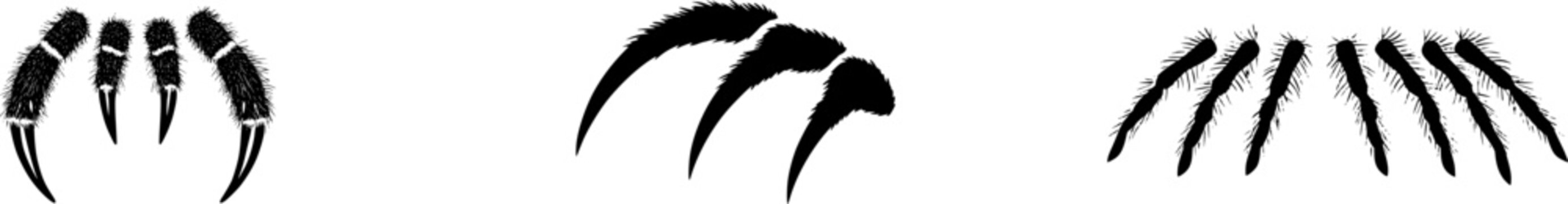 Ultra-realistic macro of a Tarantulas fangs reveals thick, hairy chelicerae with sharp black tips against a pure white background