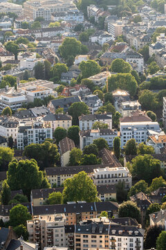 Frankfurt city landscape in aerial view captures residential urban density with buildings rooftops and greenery forming a compact pattern