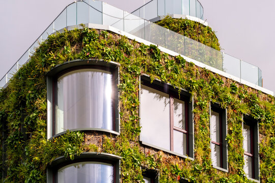 Urban building architecture showing modern facade covered in ivy plants and greenery with sustainable concept and glass details in sun
