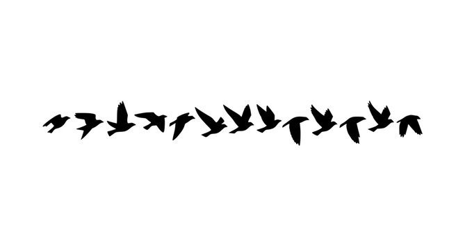 Minimal flying bird silhouettes in straight line vector set clean nature bird icons isolated on white background