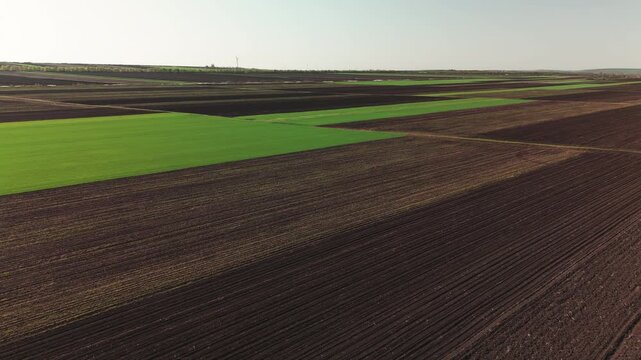 Vibrant Green Crop Patch Contrasting Brown Plowed Land, Aerial Perspective Emphasizes Geometric Shapes