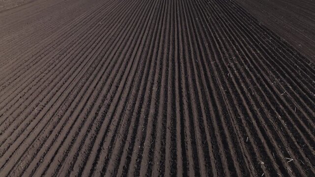 Aerial Closeup Plowed Field Rows Showing Rich Dark Soil And Repeating Furrows, Moody Texture And Long