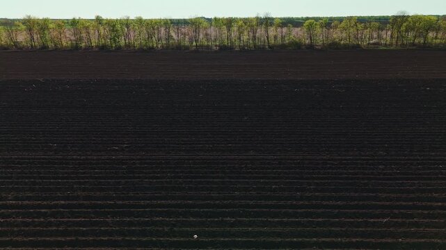 Forest Edge Above Dark Plowed Rows, Aerial View Of Tree Line Bordering Tilled Land, Contrast Between Woodland