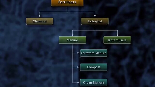 3D animation showing biofertilizers improving soil fertility and plant growth using microbes.