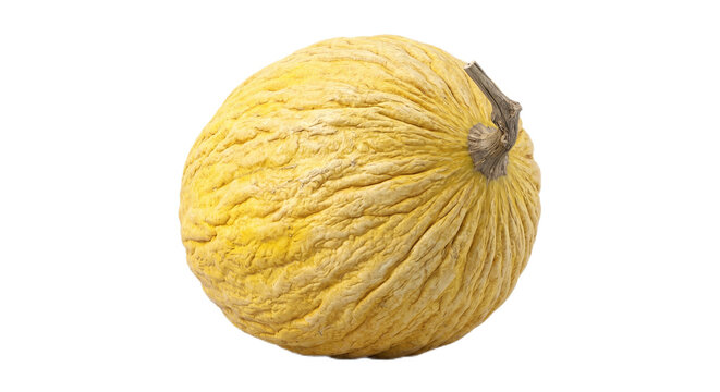 Casaba Melon with Pale Yellow Flesh &ndash; Sweet Winter Melon Slice Close-Up on Clean Background