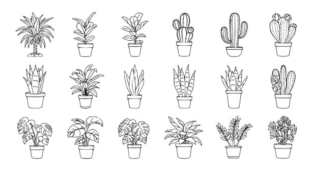 Houseplants line art set dracaena ficus cactus snake plant indoor vector isolated on white background