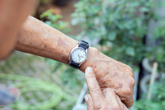 Rear view shot Image of a vintage leather wristwatch on an elderly man hand, pointing to his watch