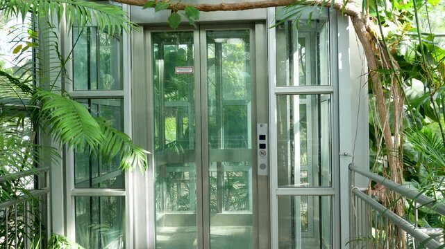 Glass elevator inside Palmengarten Frankfurt greenhouse surrounded by tropical plants and natural light creating modern botanical interior scene