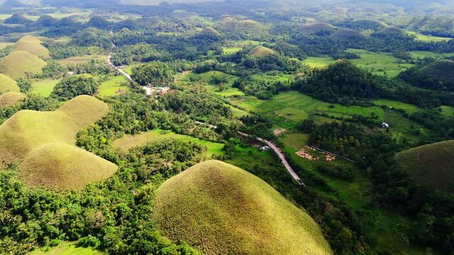 drone fly above The Chocolate Hills famous, natural geological monument in Bohol island , Philippines
